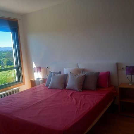 Apartamento Centrico Salvaterra Apartment Salvatierra de Mino Ngoại thất bức ảnh